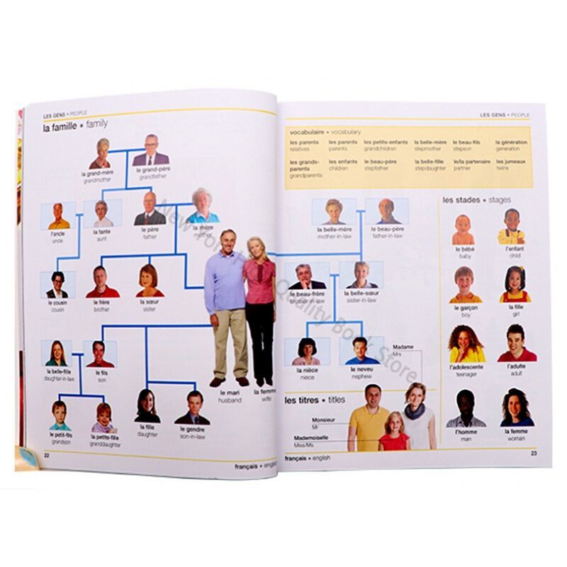 DK Language Dictionary Huayan  - đánh giá và giá Art Book Illustration